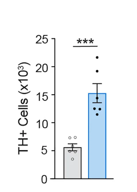 Open access visualization of Bar Plot, Error Bars, Scatter Plot, TH+DA Neurons