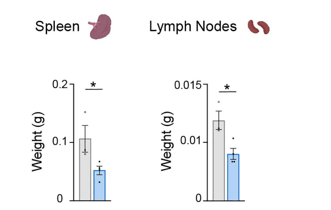 Open access visualization of Bar Plot, Error Bars, Clustered, Spleen, Lymph Nodes