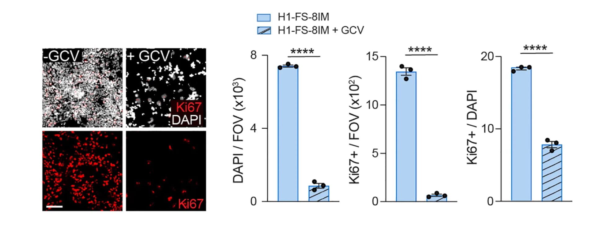 Open access visualization of Bar Plot, Error Bars, Photo, Microscopy, DAPI