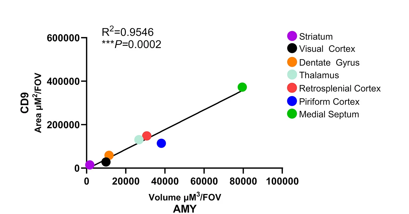 Open access visualization of Scatter Plot, Regression Plot, Volcano Plot, Differentially Expressed Genes, Microglia