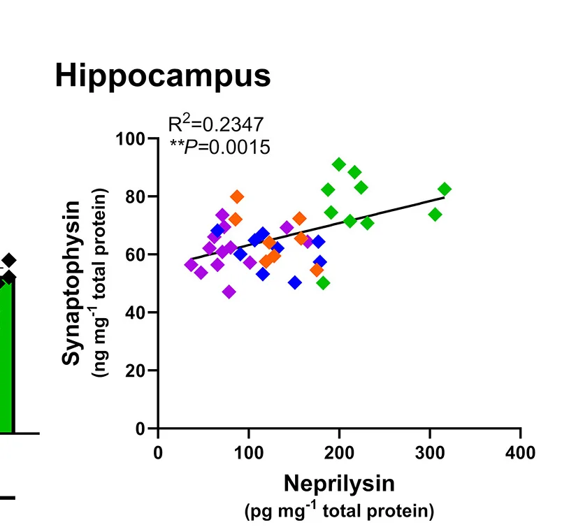 Open access visualization of Scatter Plot, Regression Plot, Bar Plot, Linear Regression, Hippocampal Neprilysin