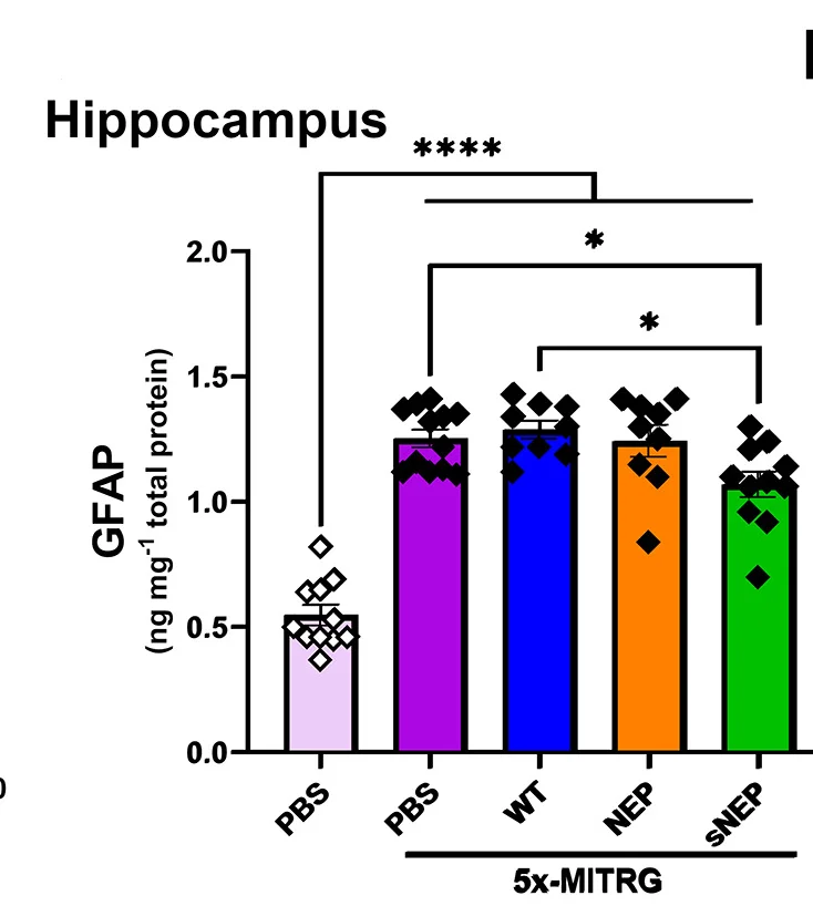 Open access visualization of Bar Plot, Error Bars, Scatter Plot, ELISA, GFAP