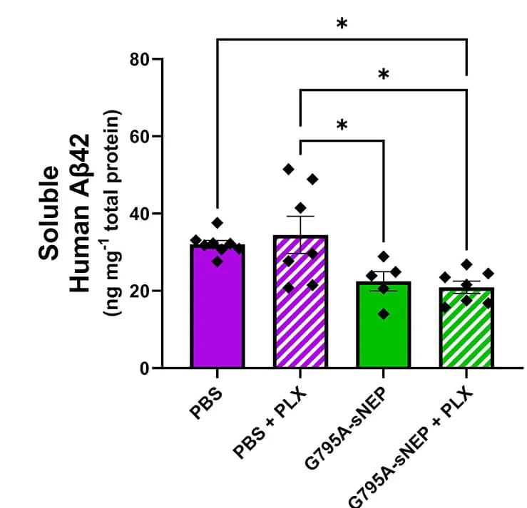 Open access visualization of Bar Plot, Error Bars, ELISA, Soluble Aβ42, One-way ANOVA