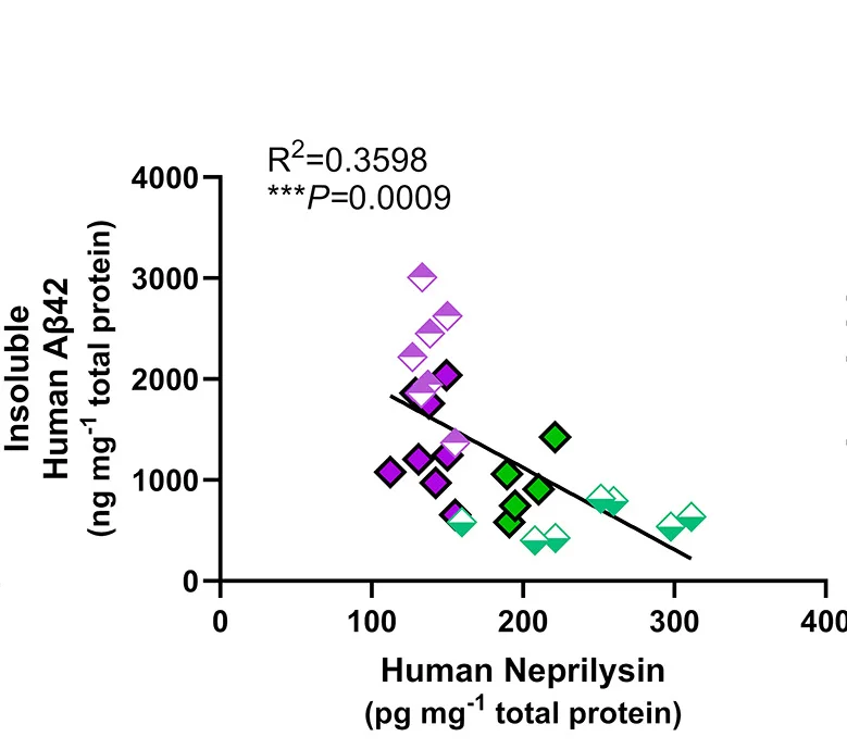 Open access visualization of Scatter Plot, Regression Plot, Linear Regression, Neprilysin, Insoluble Aβ42