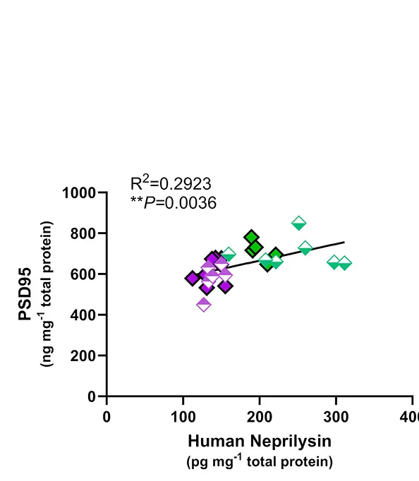 Open access visualization of Scatter Plot, Regression Plot, Linear Regression, Neprilysin, PSD95