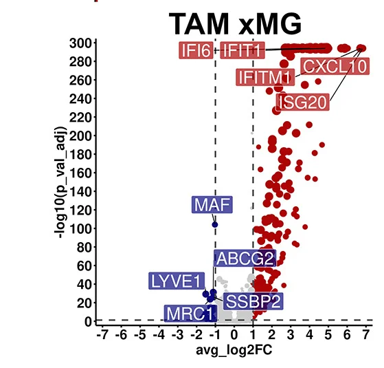 Open access visualization of Scatter Plot, Regression Plot, Volcano Plot, DEGs, TAM xMG