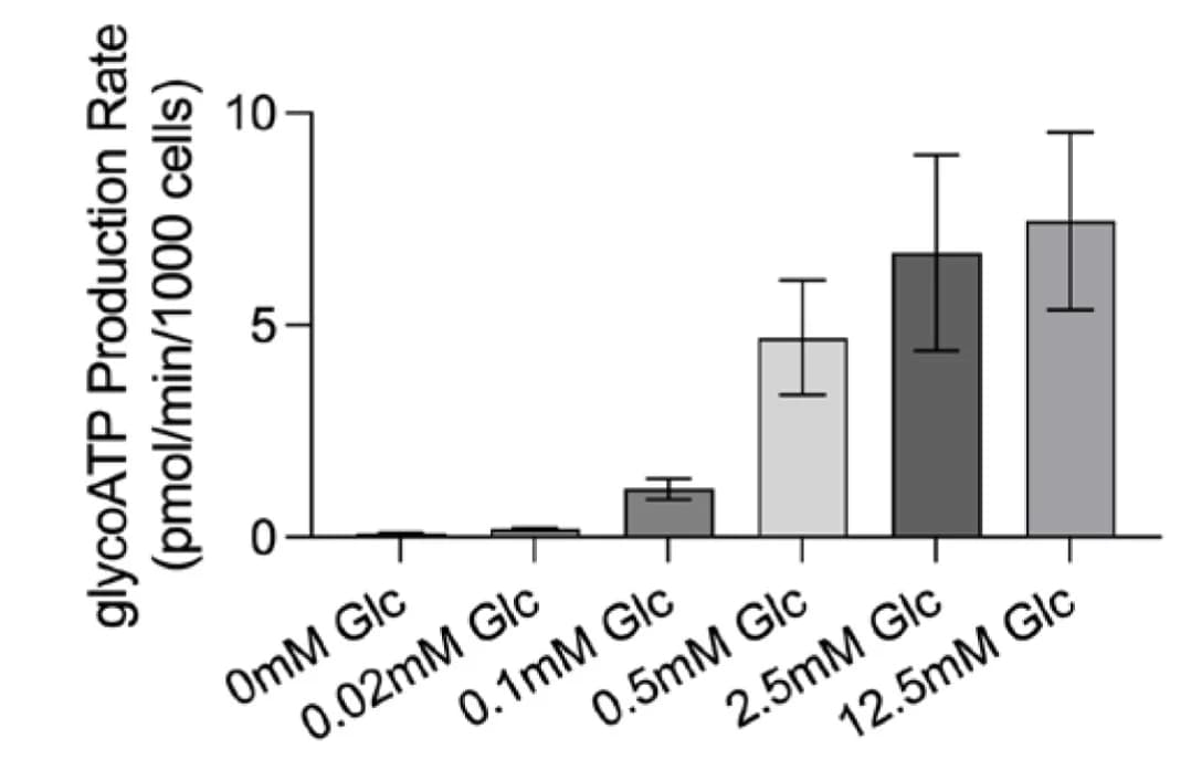 Open access visualization of Bar Plot, Error Bars, GlycoATP Production Rate, Glucose Levels