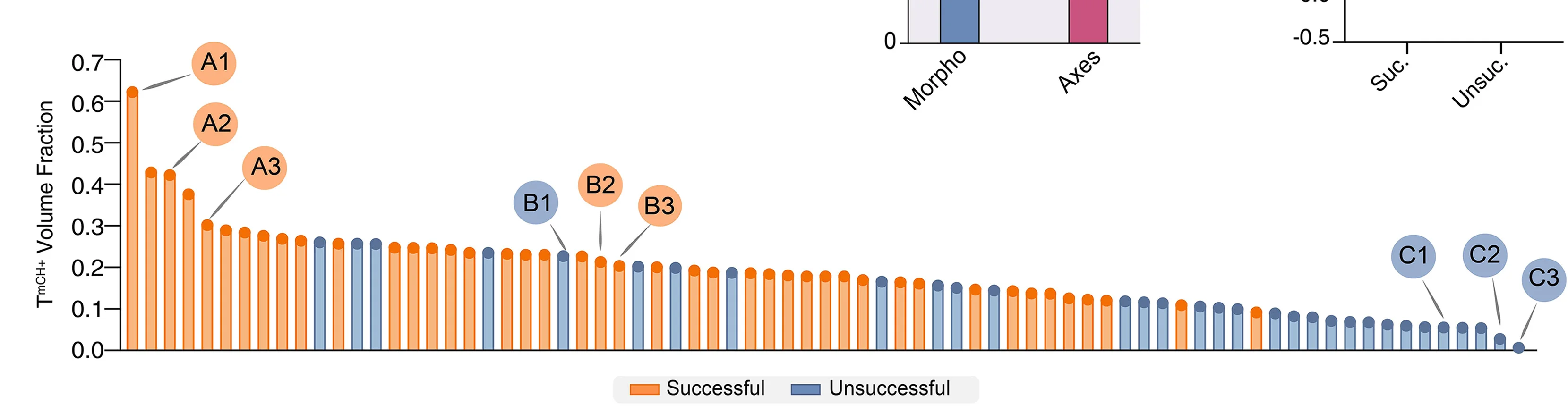 Open access visualization of Bar Plot, Clustered, TmCH+Volume Fraction, Trunk-Like Structures, Distribution