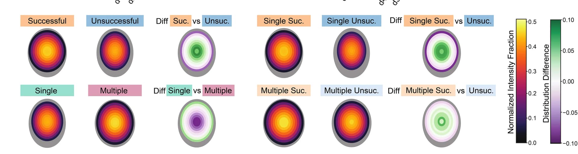 Open access visualization of Heatmap, TmCH Radial Distribution, Mean Intensity, Structure Shape, TmCH Domain Shape