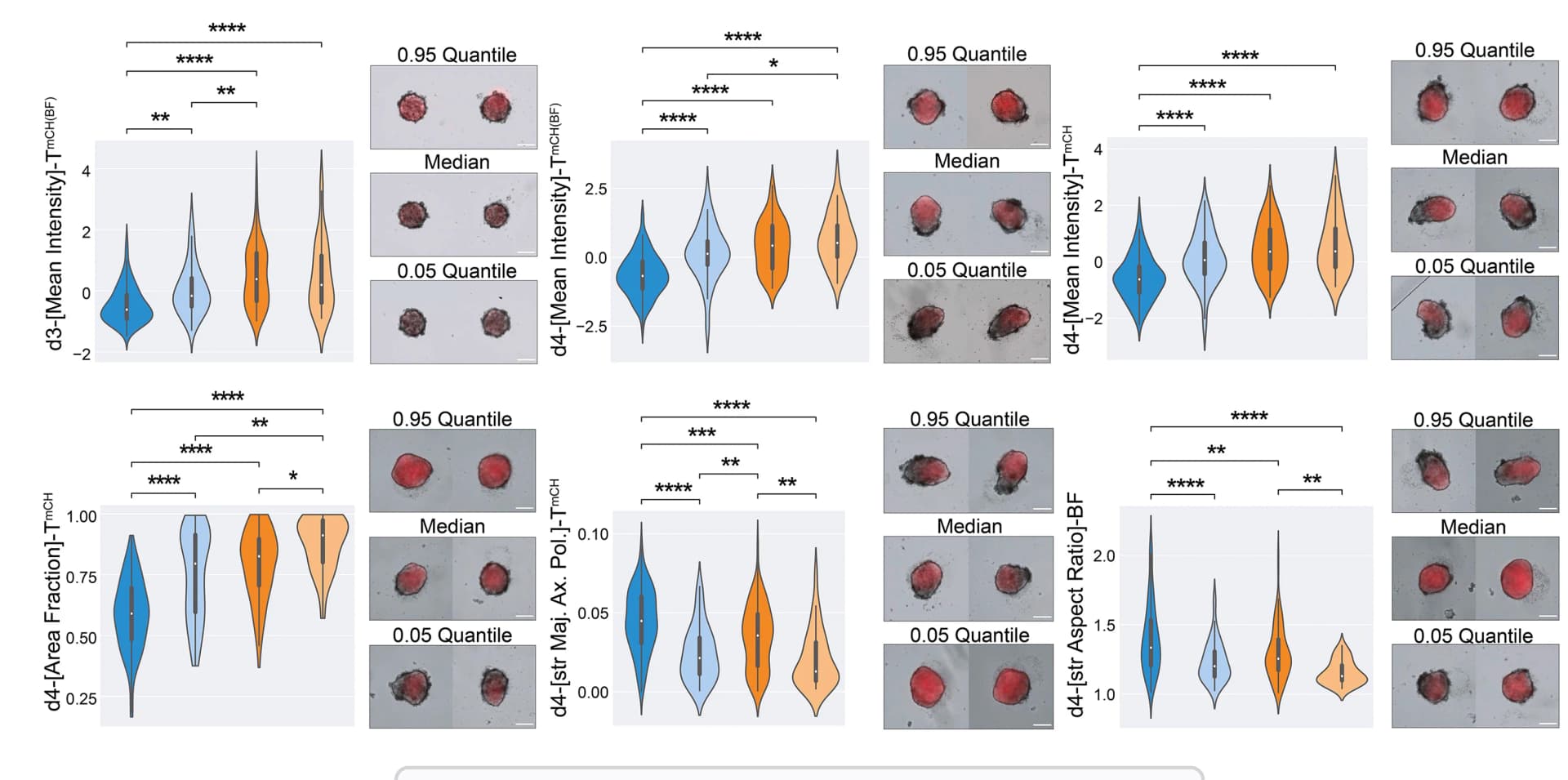 Open access visualization of Violin Plot, Microscopy, Feature Quantification, Mean, Standard Deviation