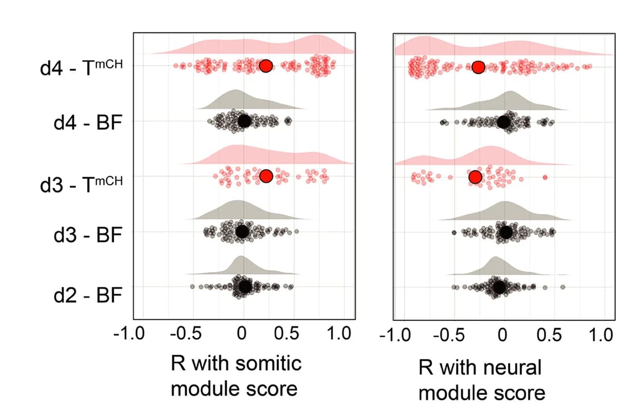 Open access visualization of Density Plot, Scatter Plot, Correlation, Feature Sets, Somitic Module