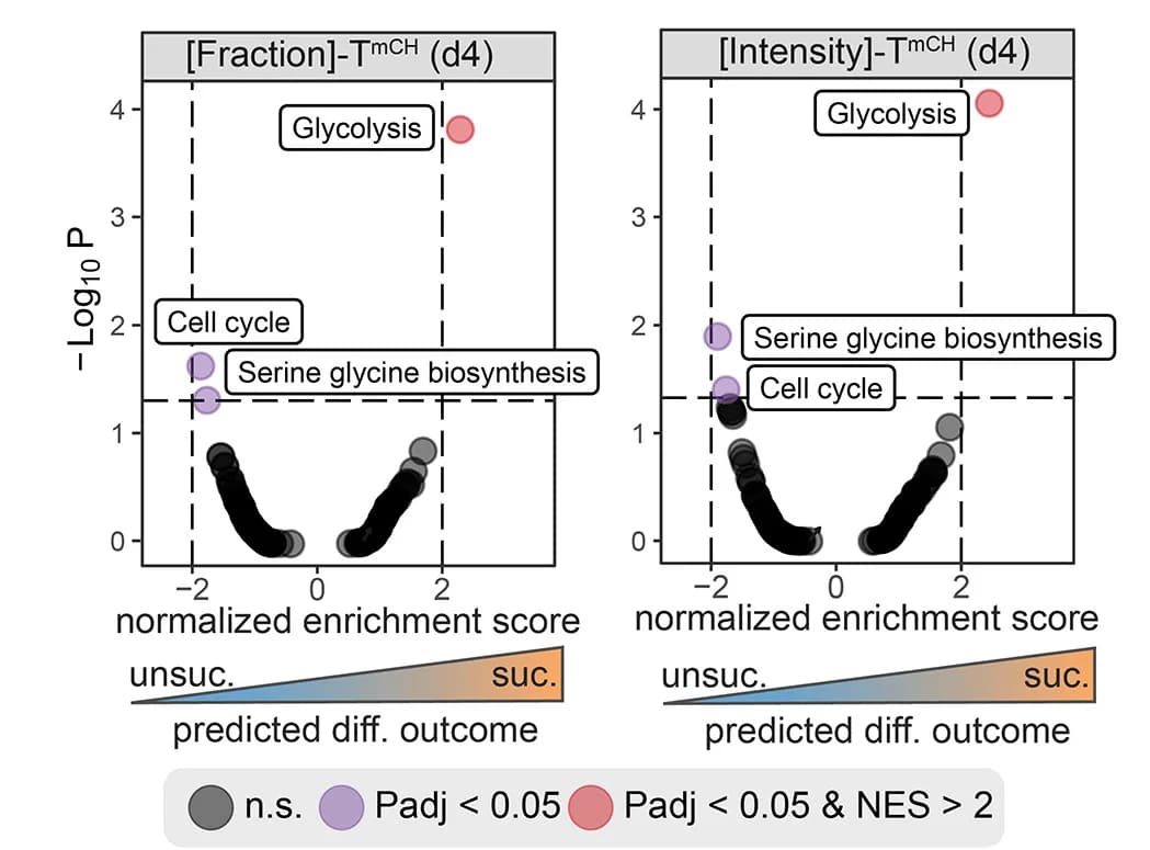 Open access visualization of Volcano Plot, Scatter Plot, Biological Processes, Predicted Phenotypic Outcome