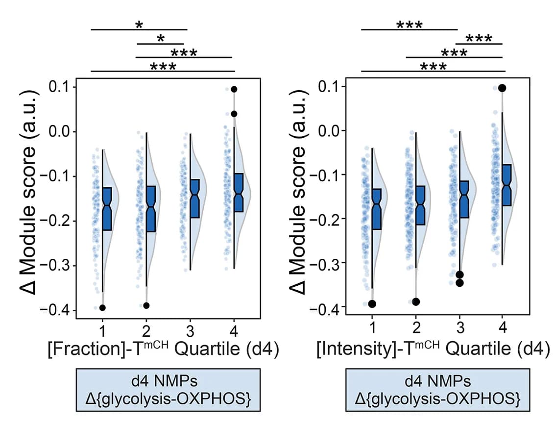 Open access visualization of Violin Plot, Box Plot, Scatter Plot, Glycolysis, OxPhos