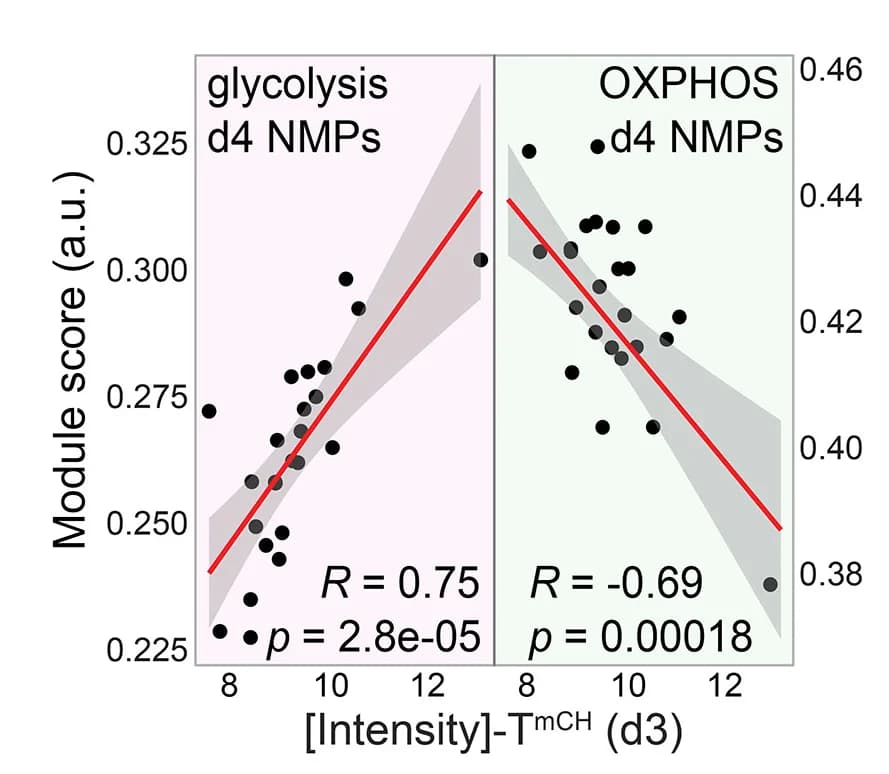 Open access visualization of Scatter Plot, Regression Plot, TmCH Quartile, Glycolysis, OxPhos