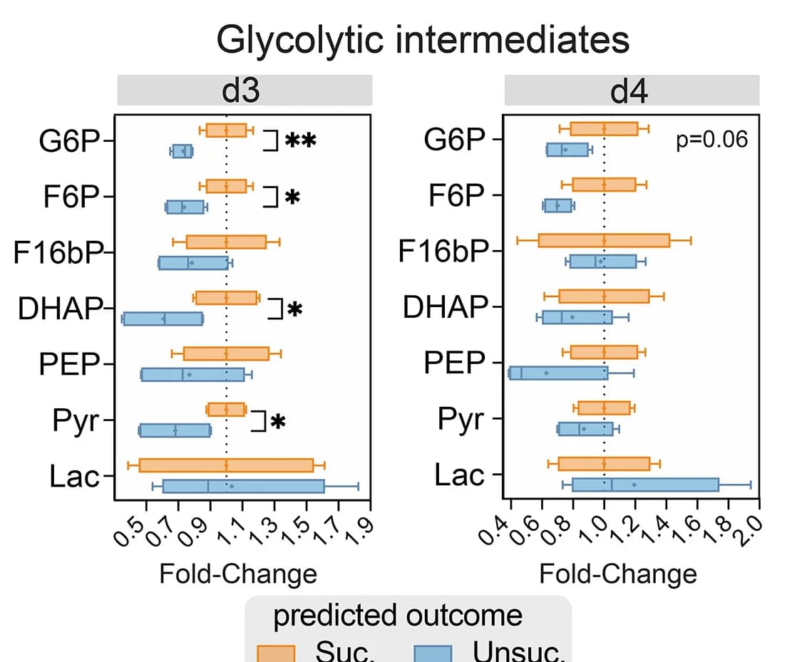Open access visualization of Box Plot, Glycolytic Intermediates, Fold Change, Student's T-Test