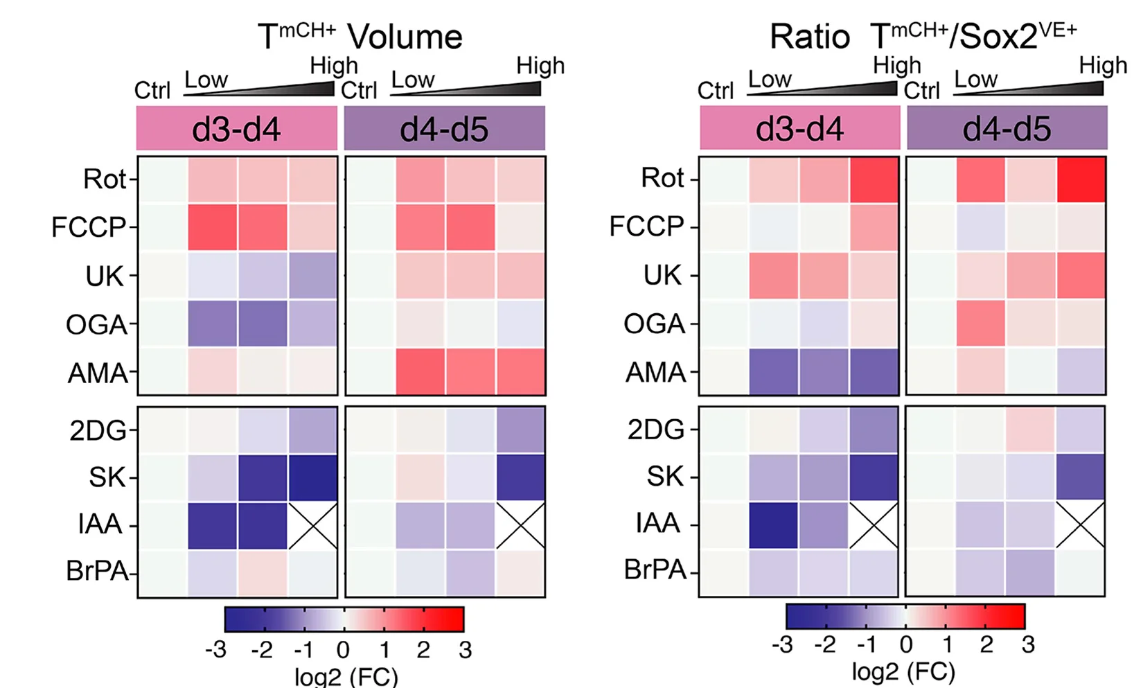 Open access visualization of Heatmap, TmCH+volume, TmCH+/Sox2VE+ratio, Fold Change