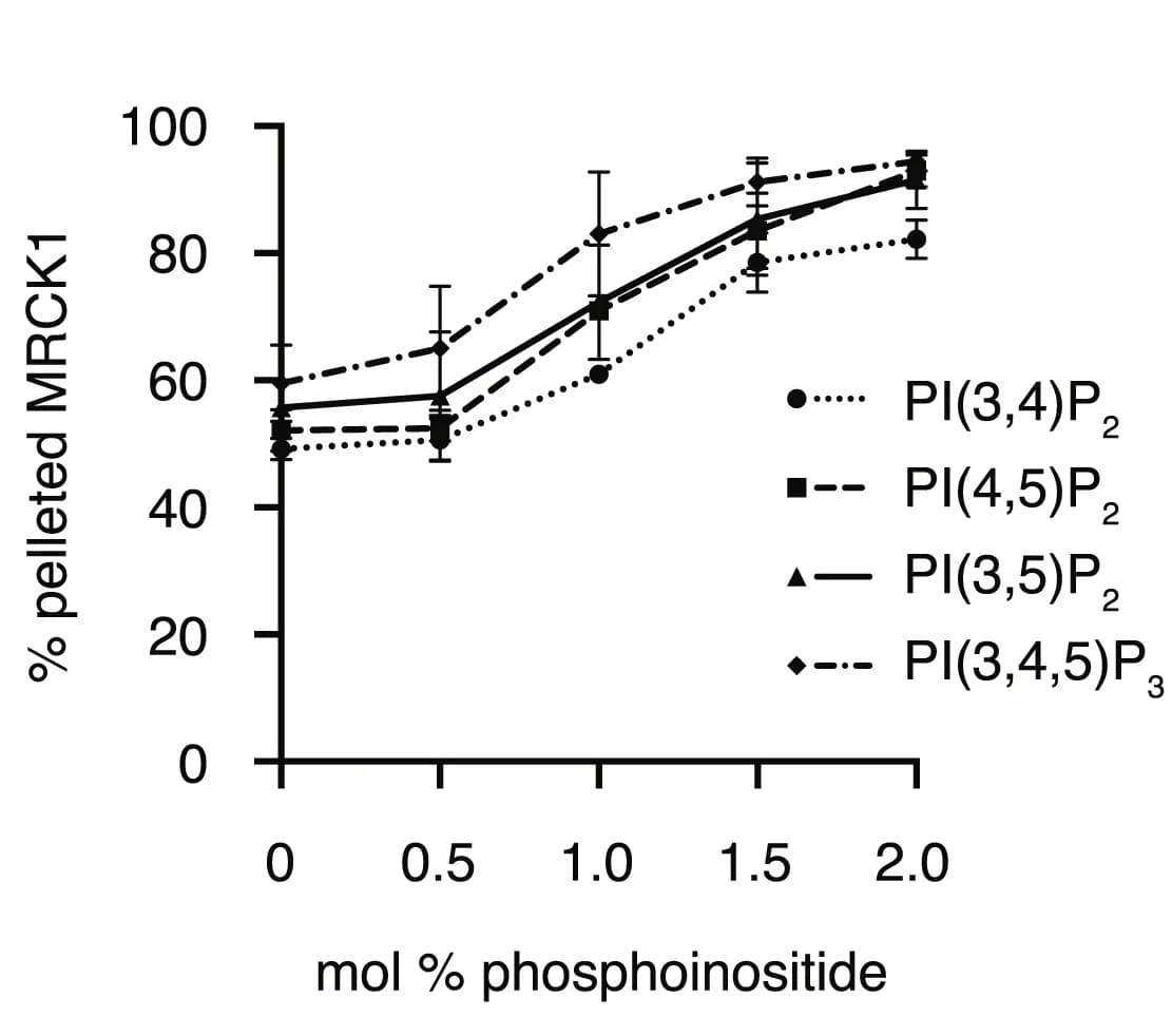 Open access visualization of Line Plot, Error Bars, MRCK1, Liposomes, Phosphoinositides