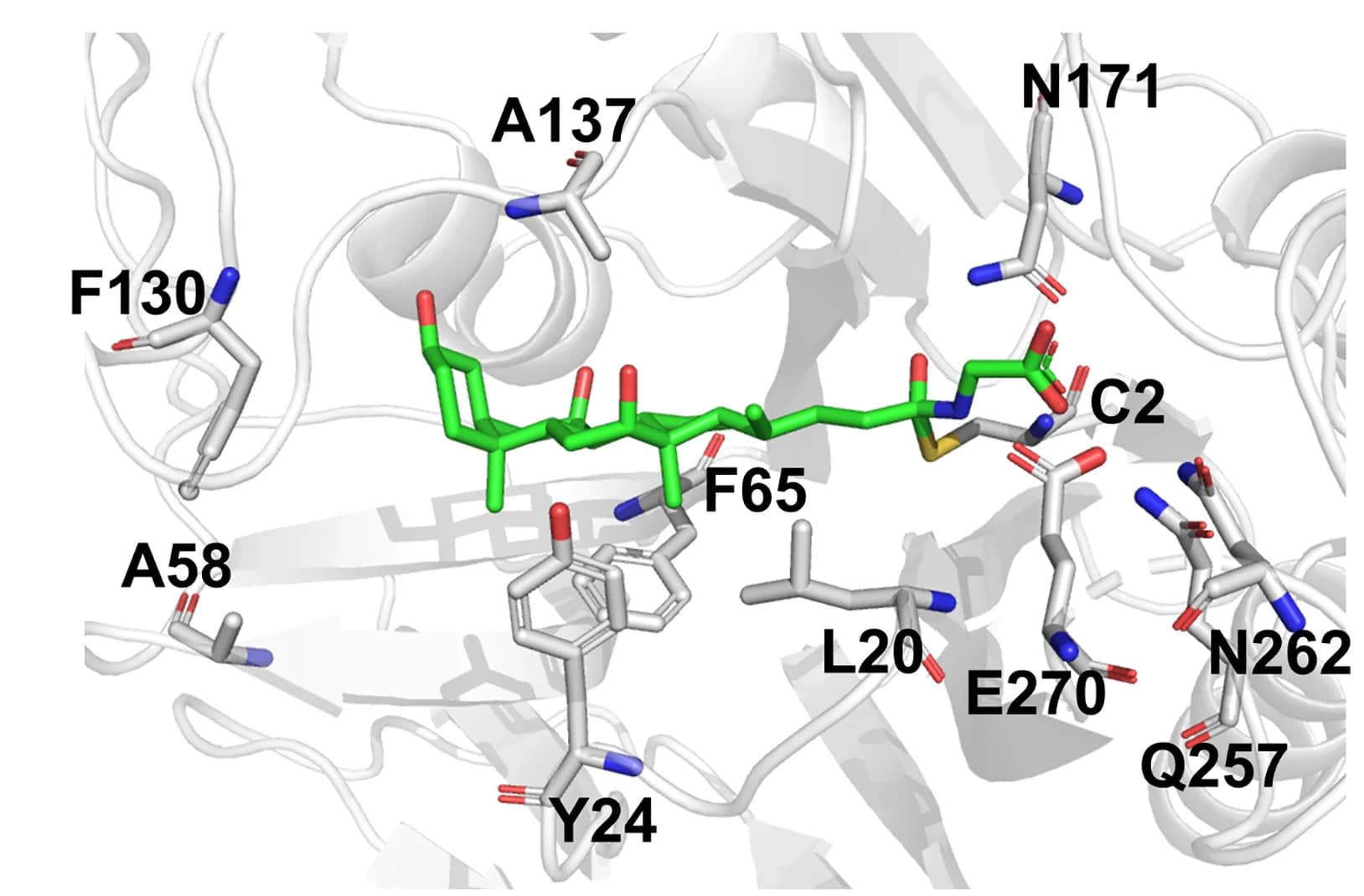 Open access visualization of Protein Structure, Chemical Structure, GCA, LsBSH, Protein Data Bank