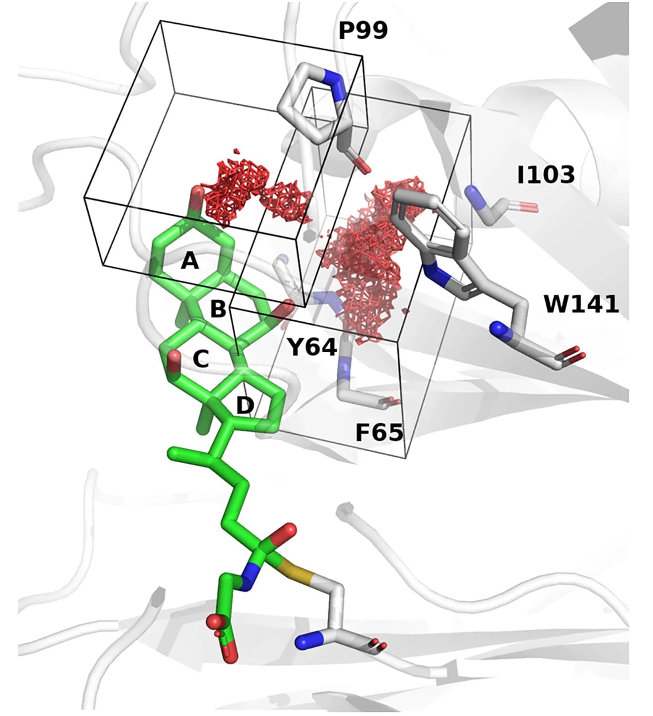 Open access visualization of Protein Structure, Chemical Structure, Water Density, Rings A and B, Substrates