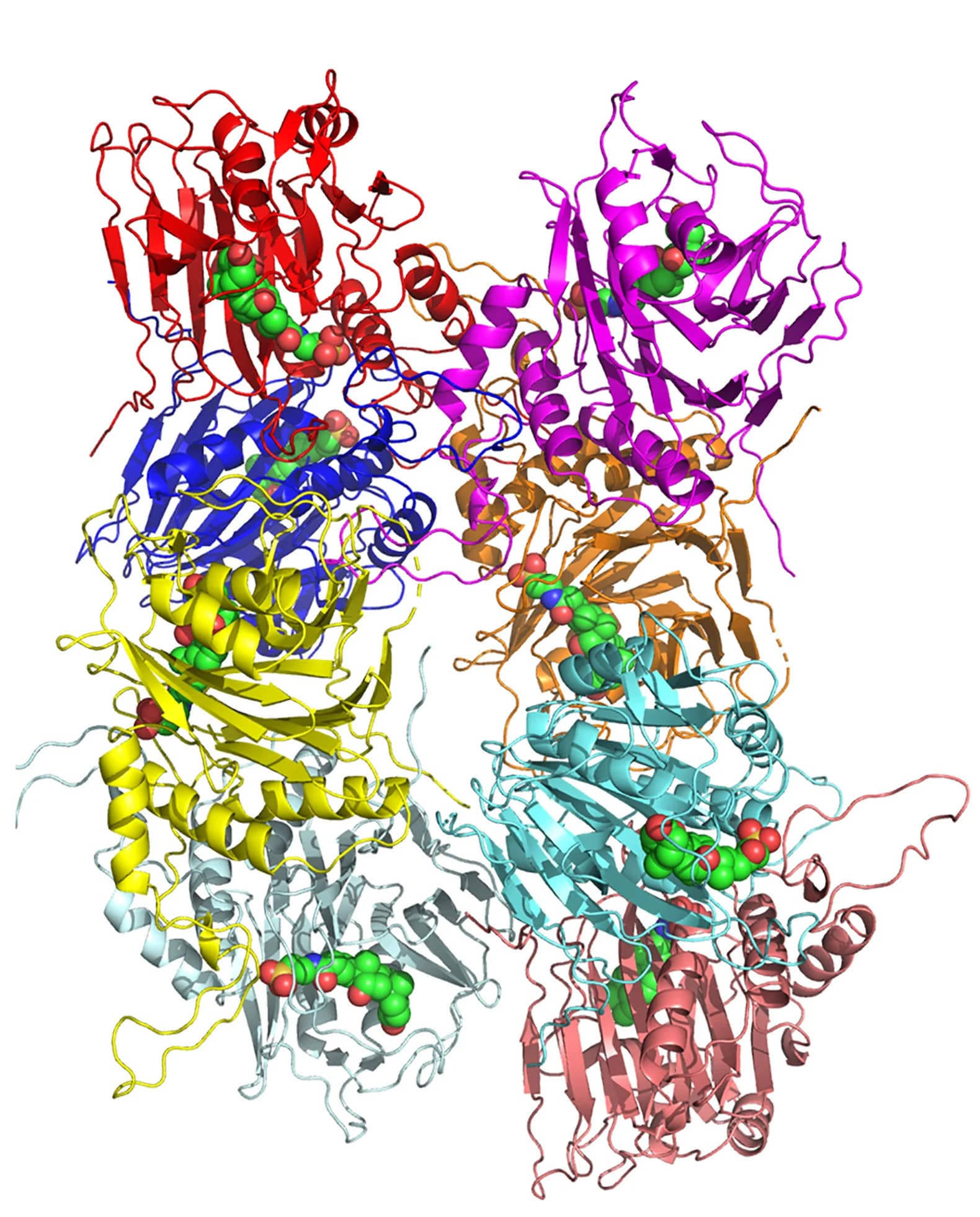 Open access visualization of Protein Structure, Chemical Structure, X-ray Structures, TCA-BSH Complex, LsBSH Subunits