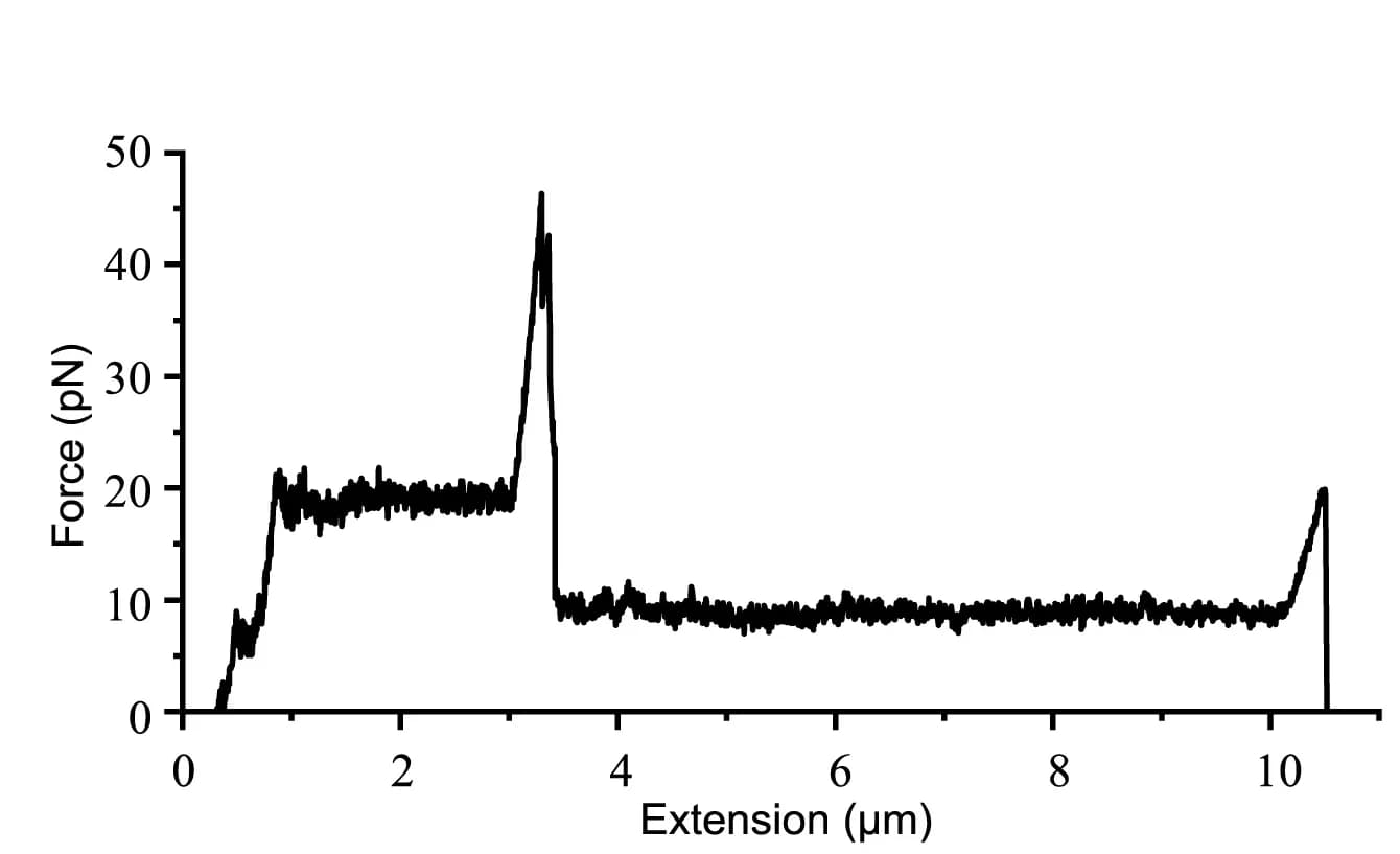 Open access visualization of Line Plot, Optical Tweezers, Force Measurement, Bacteria, Pili