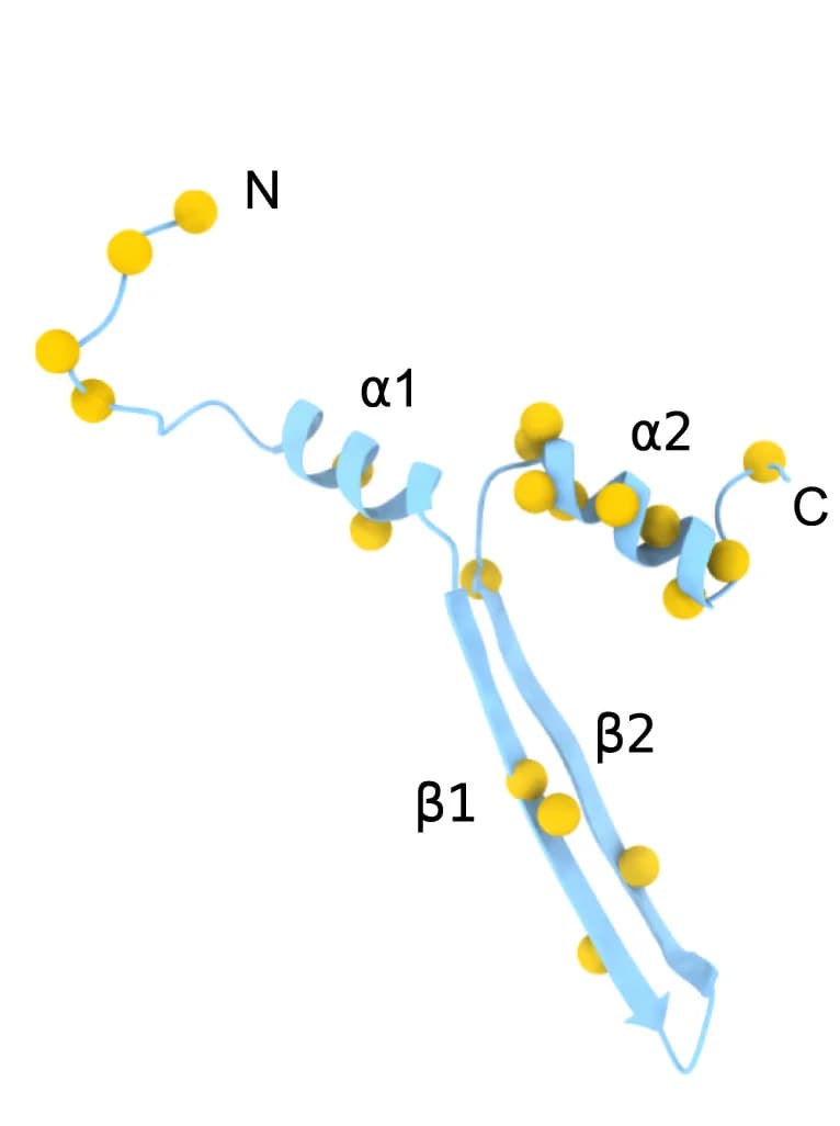 Open access visualization of Protein Structure, Mutation Sites, GvpA Structure