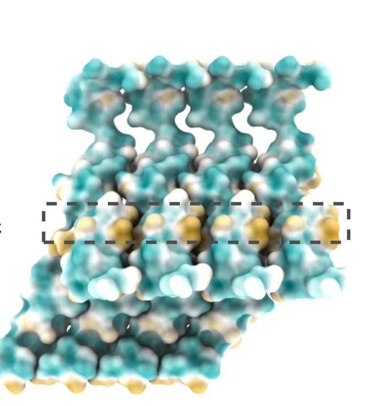 Open access visualization of Protein Structure, Chemical Structure, GvpC, Binding Site, Hydrophobic Pockets