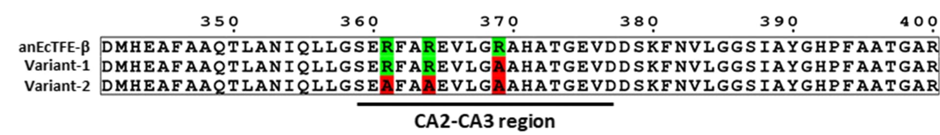 Open access visualization of Illustration, Table Image, anEcTFE-β Variants, Mutations, CA2-CA3 Region