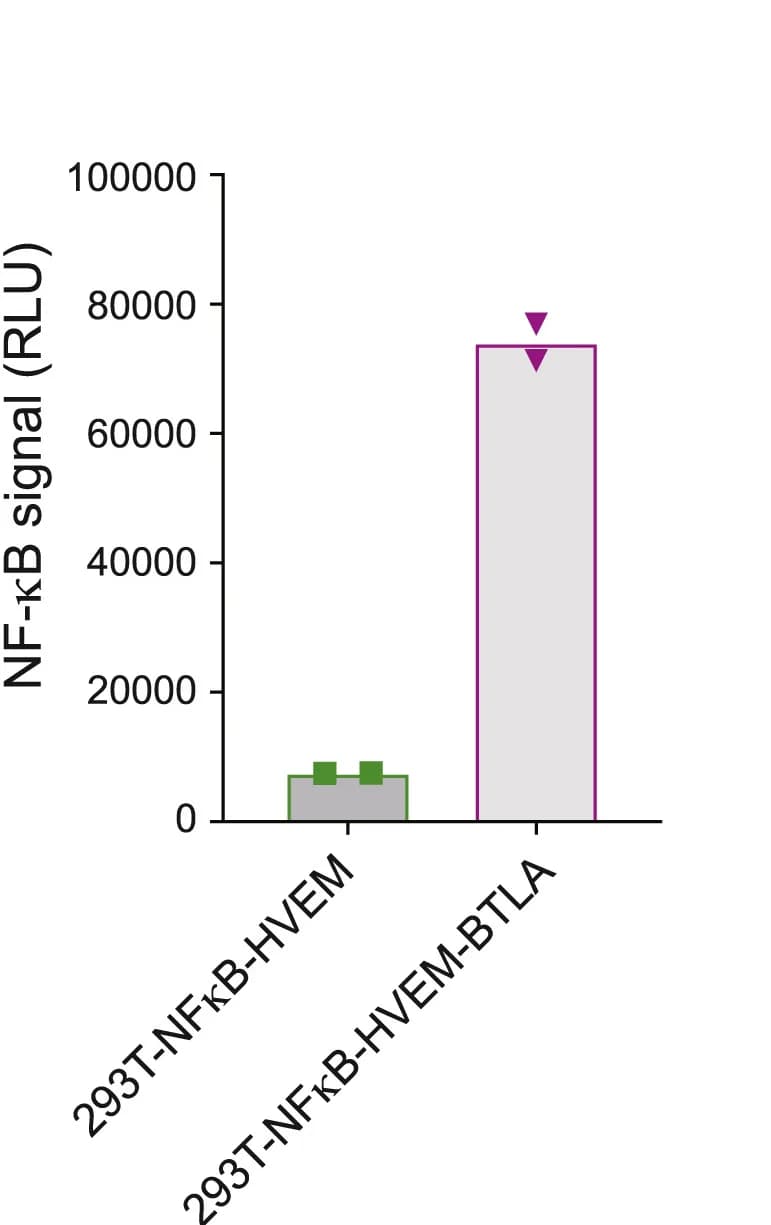 Open access visualization of Bar Plot, Error Bars, HVEM, NF-κB, Reporter Cells