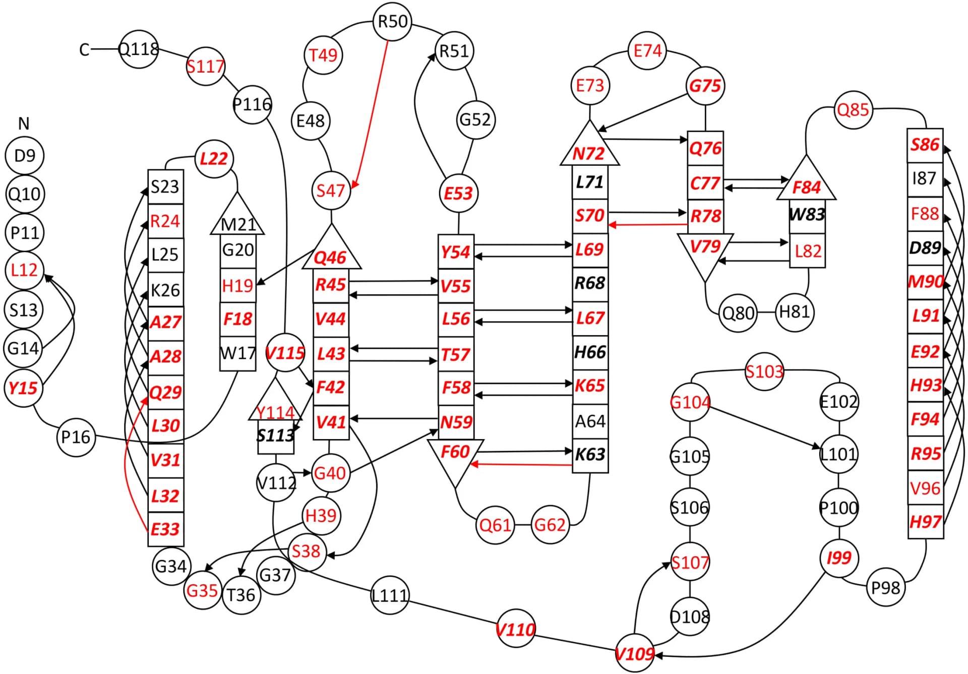 Open access visualization of Network, Pathway, Hydrogen Bond, Secondary Structure, Residues