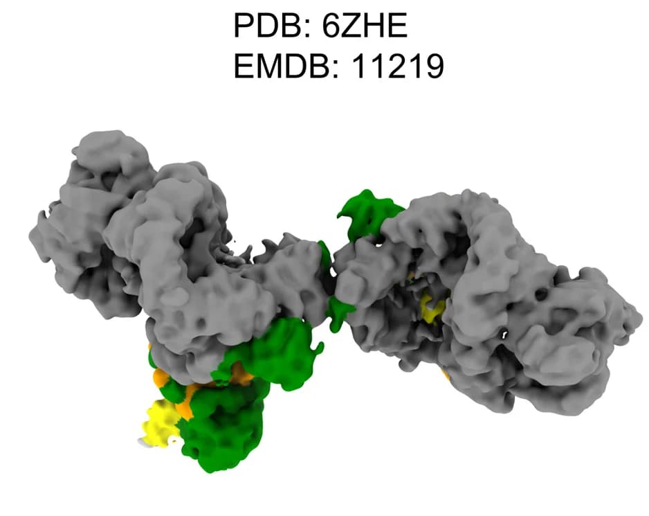 Open access visualization of Protein Structure, Cryo-EM Map, DNA-PKcs, Ku70, Ku80
