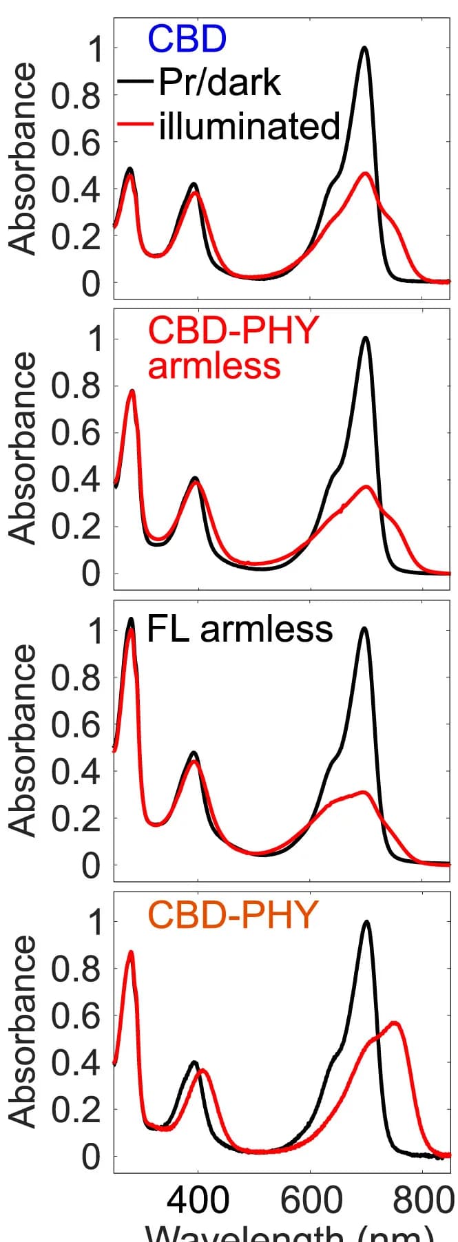 Open access visualization of Line Plot, UV-Vis Spectra, Biliverdin, Absorbance, Dark State