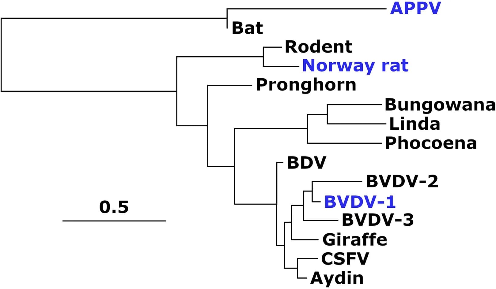Open access visualization of Network, Pathway, Phylogenetic Tree, Sequence Alignment, E2 Proteins