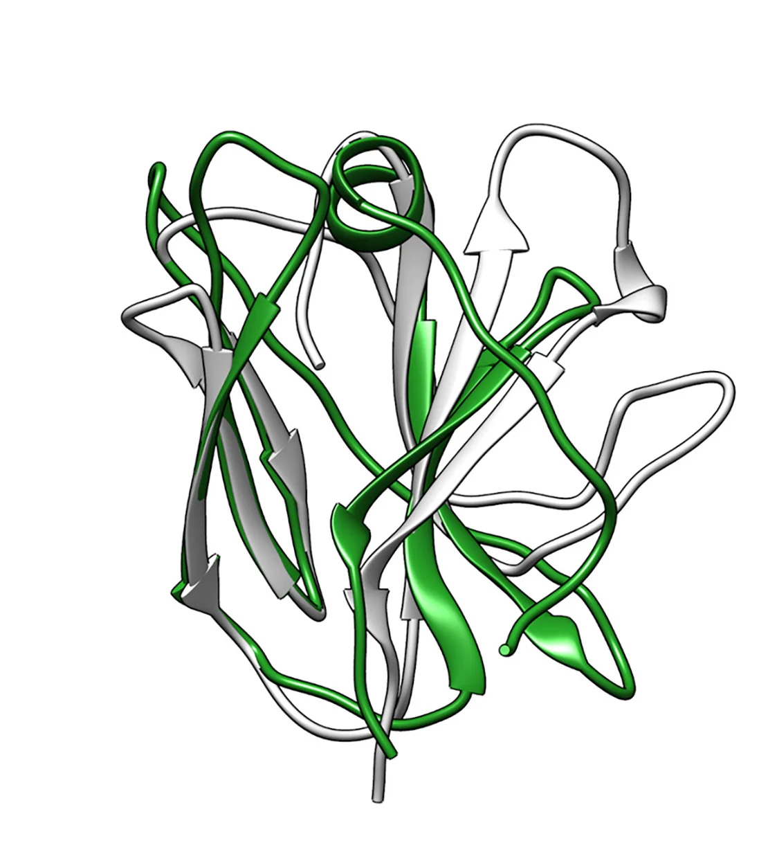 Open access visualization of Protein Structure, NRPV, APPV, BVDV, E2 Ectodomain