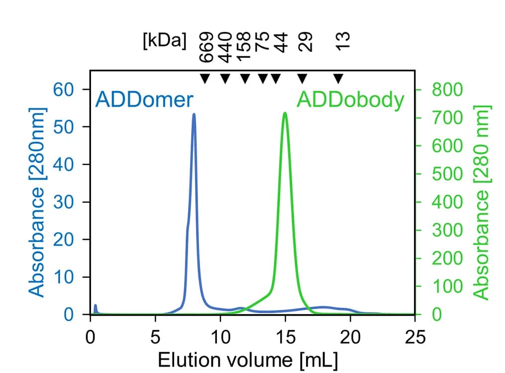 Open access visualization of Line Plot, Size Exclusion Chromatography, ADDomer, ADDobody, Protein Purification