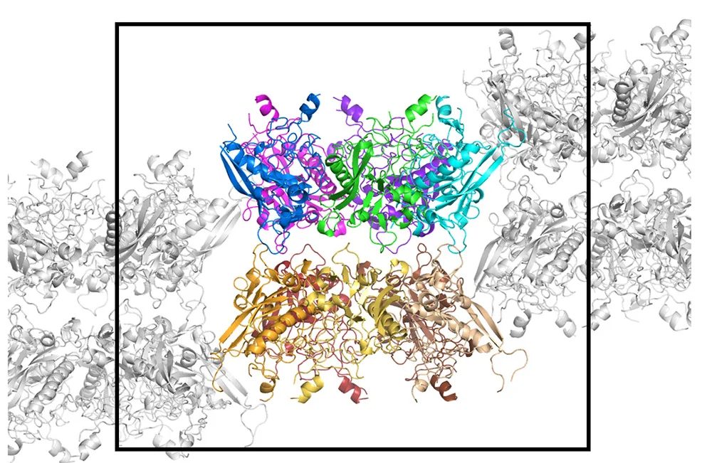 Open access visualization of Protein Structure, Decameric Organization, ADDobody Crystal, Penton, Flexible Loop