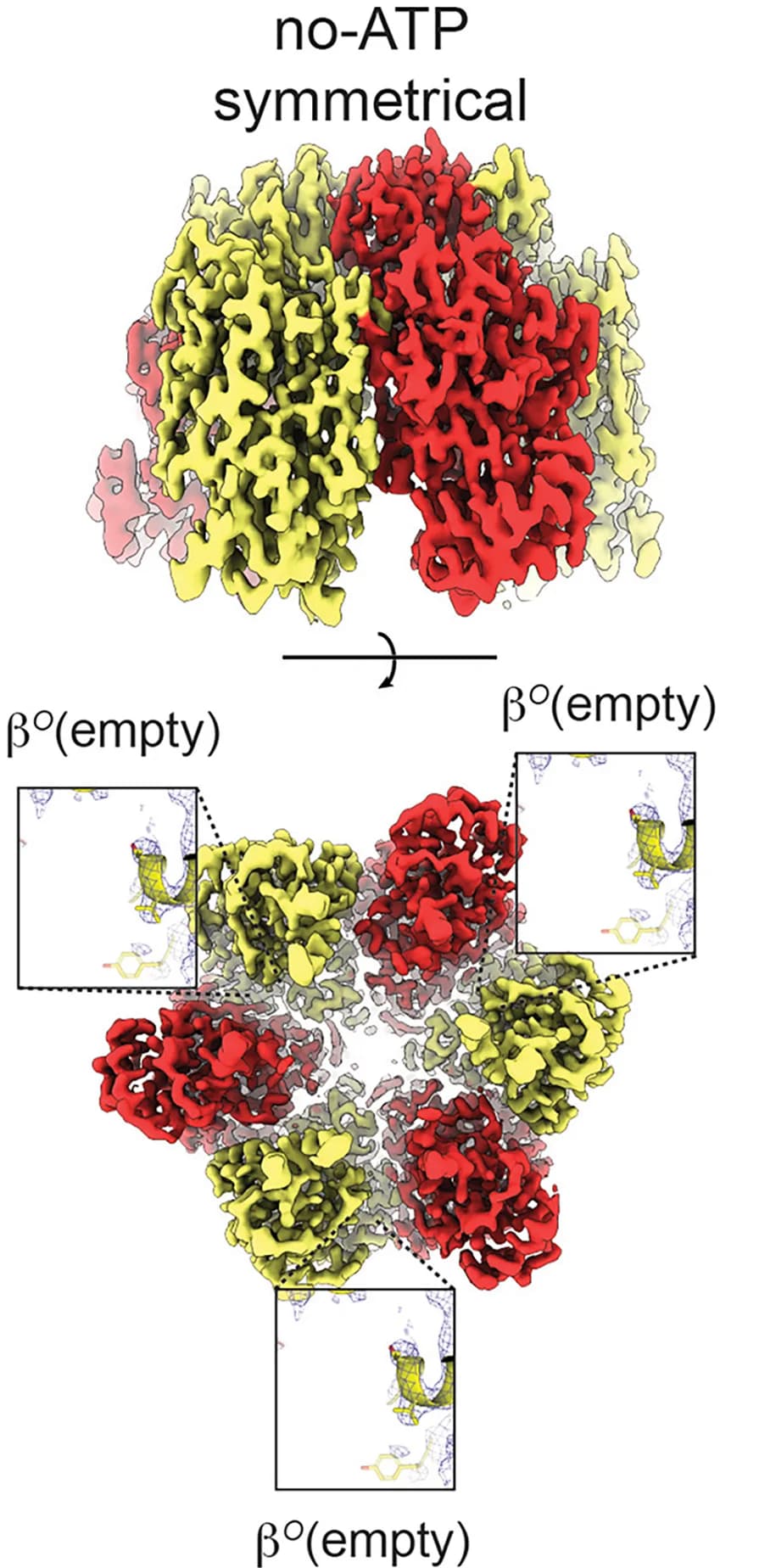 Open access visualization of Protein Structure, Chemical Structure, Cryo-EM, Maps, Subunit