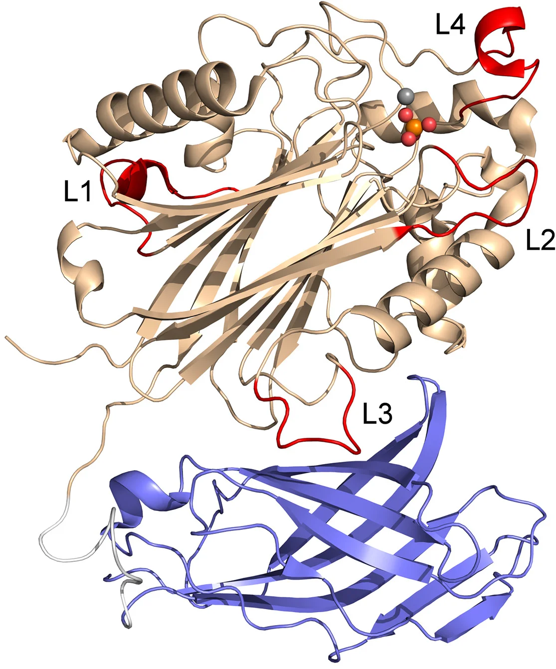 Open access visualization of Protein Structure, 3D Plot, Magnesium, Phosphate, Active Site