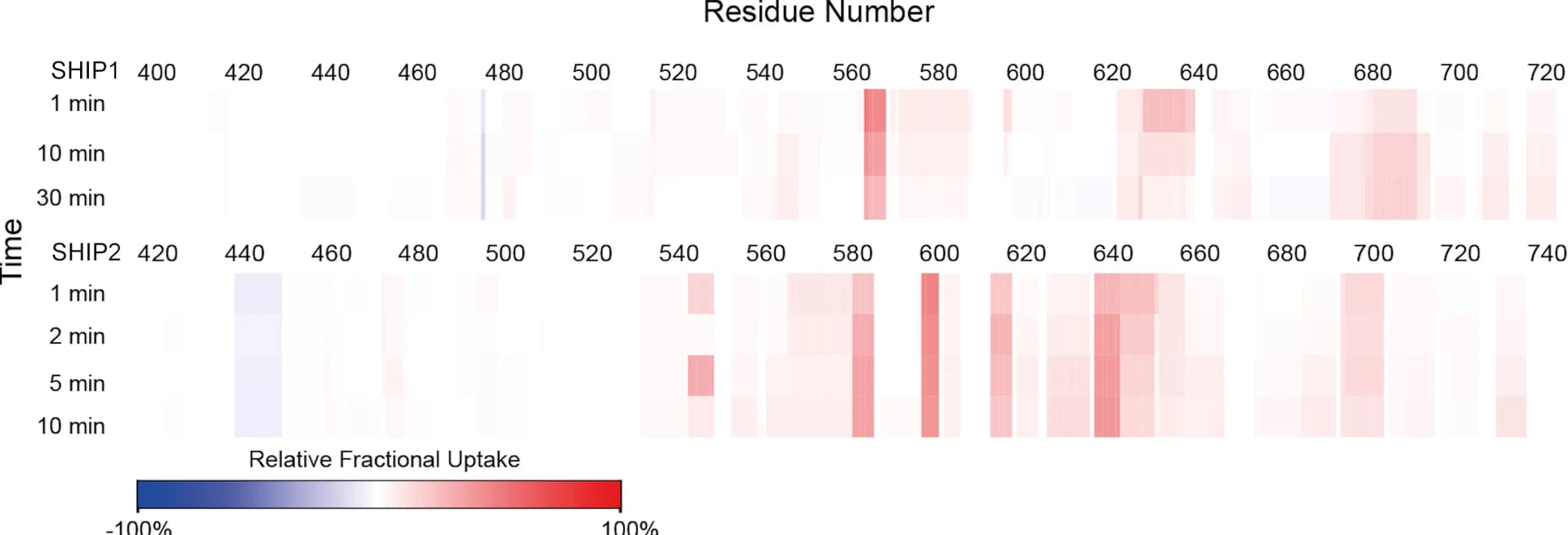 Open access visualization of Heatmap, Deuterium Uptake, C2 Domain, SHIP2, SHIP1