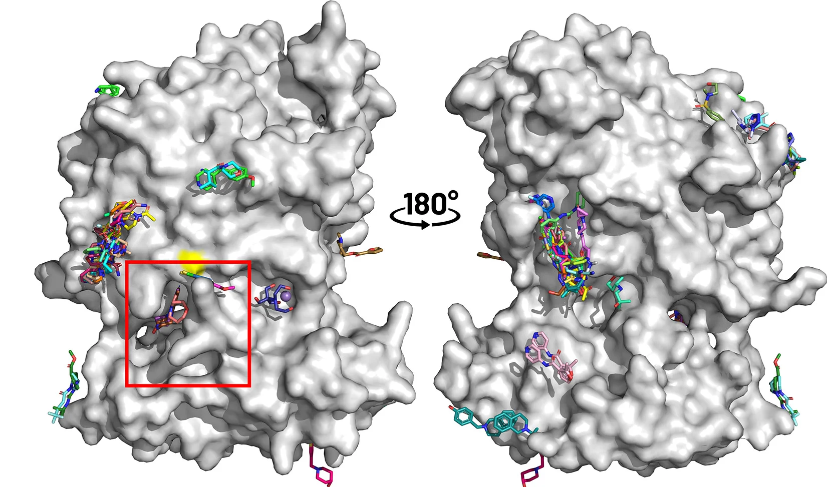 Open access visualization of Protein Structure, Chemical Structure, SHIP1, Structure, Binding Events
