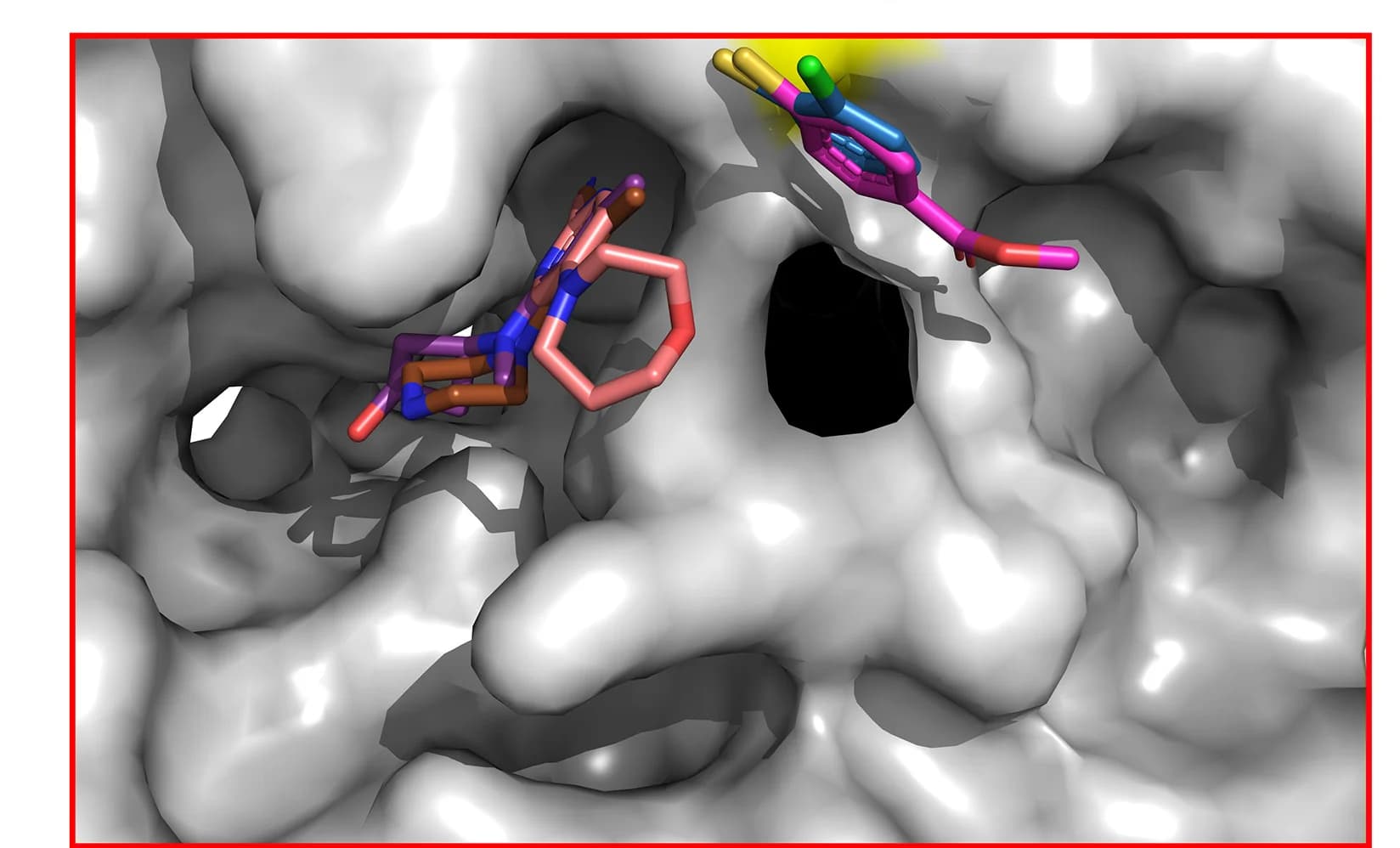 Open access visualization of Protein Structure, Chemical Structure, Phosphatase, C2 Domain, Fragments
