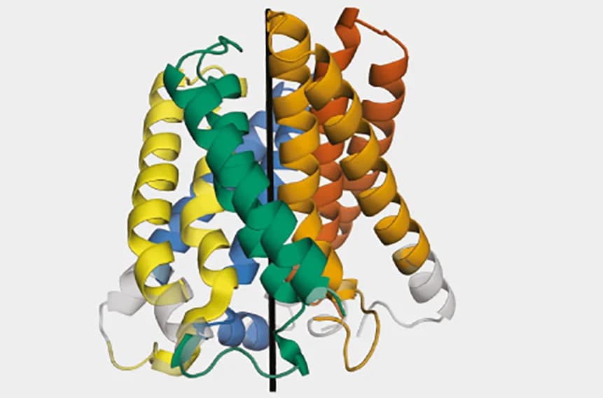 Open access visualization of Protein Structure, CE-Symm-R, Symmetry, Symmetric Regions