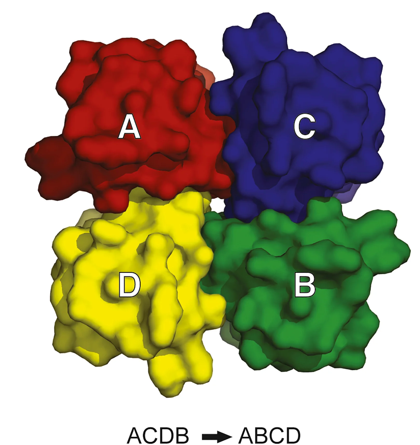 Open access visualization of Protein Structure, Workflow, KcsA Channel, PDB Coordinates, Symmetric Arrangement