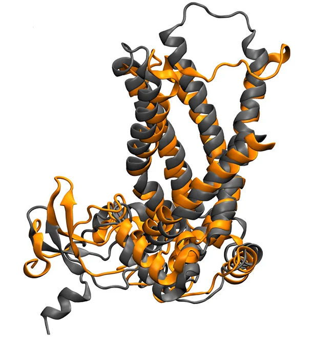 Open access visualization of Protein Structure, MTCH2, Simulation, Alpha-helices, Protein Cavity