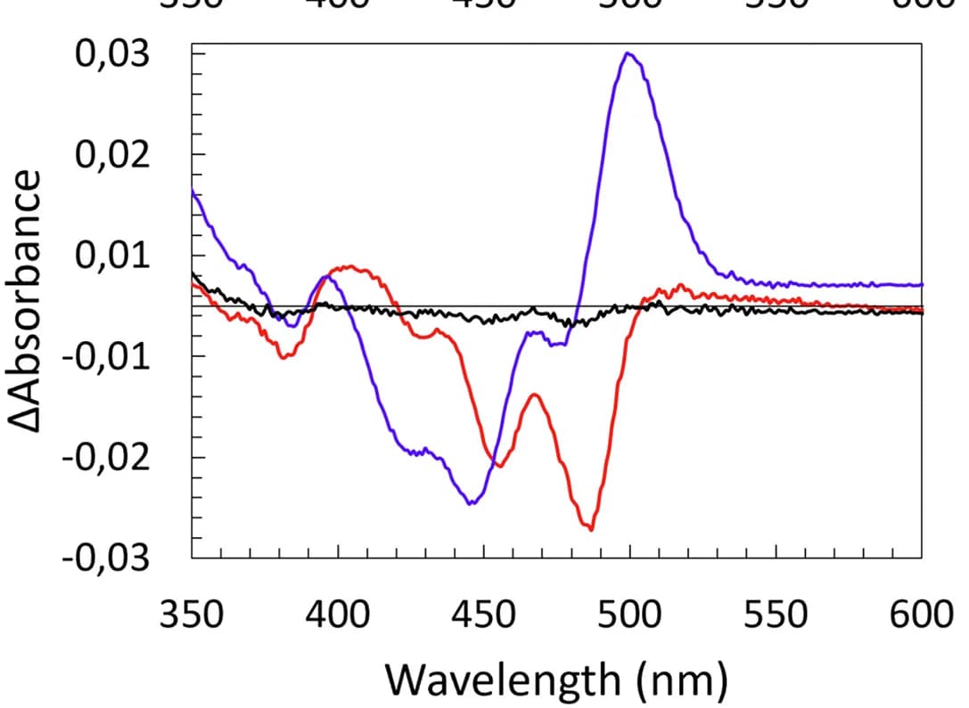 Open access visualization of Line Plot, Difference Spectra, AIF, CHCHD4, NAD+