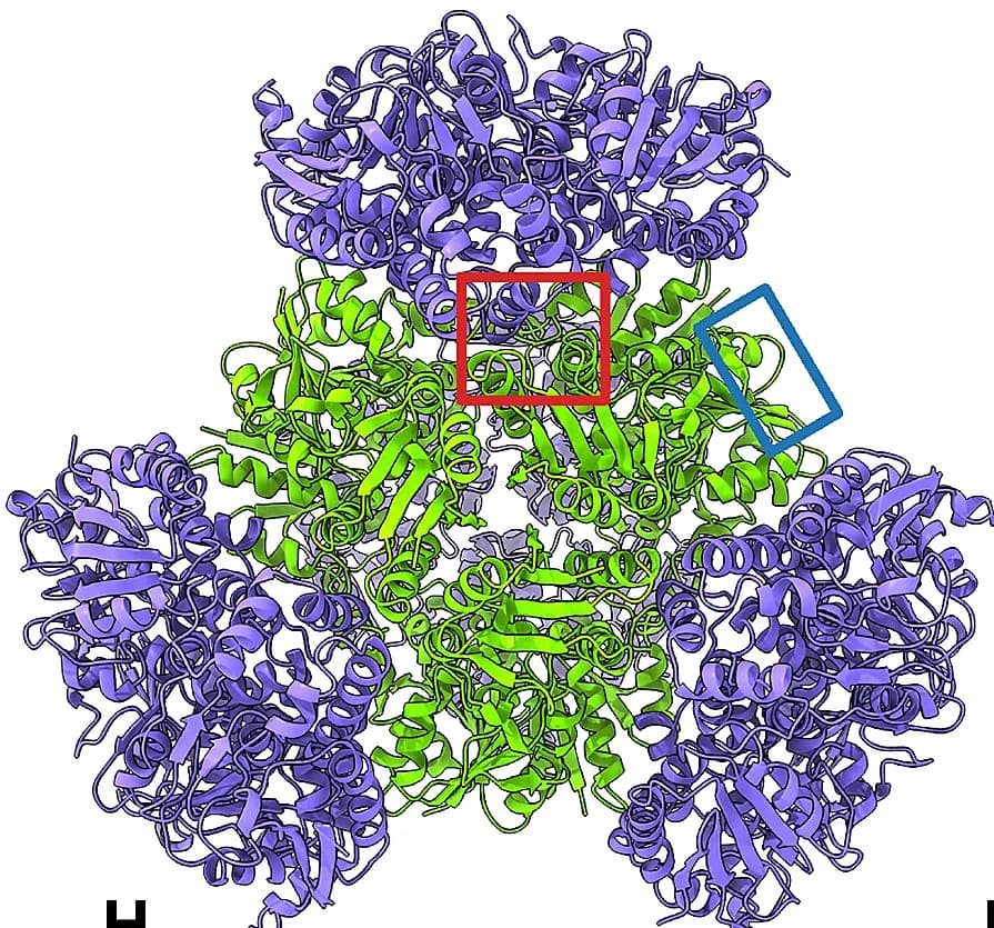 Open access visualization of Protein Structure, Crystal Structure, T33-fn10, Trimer