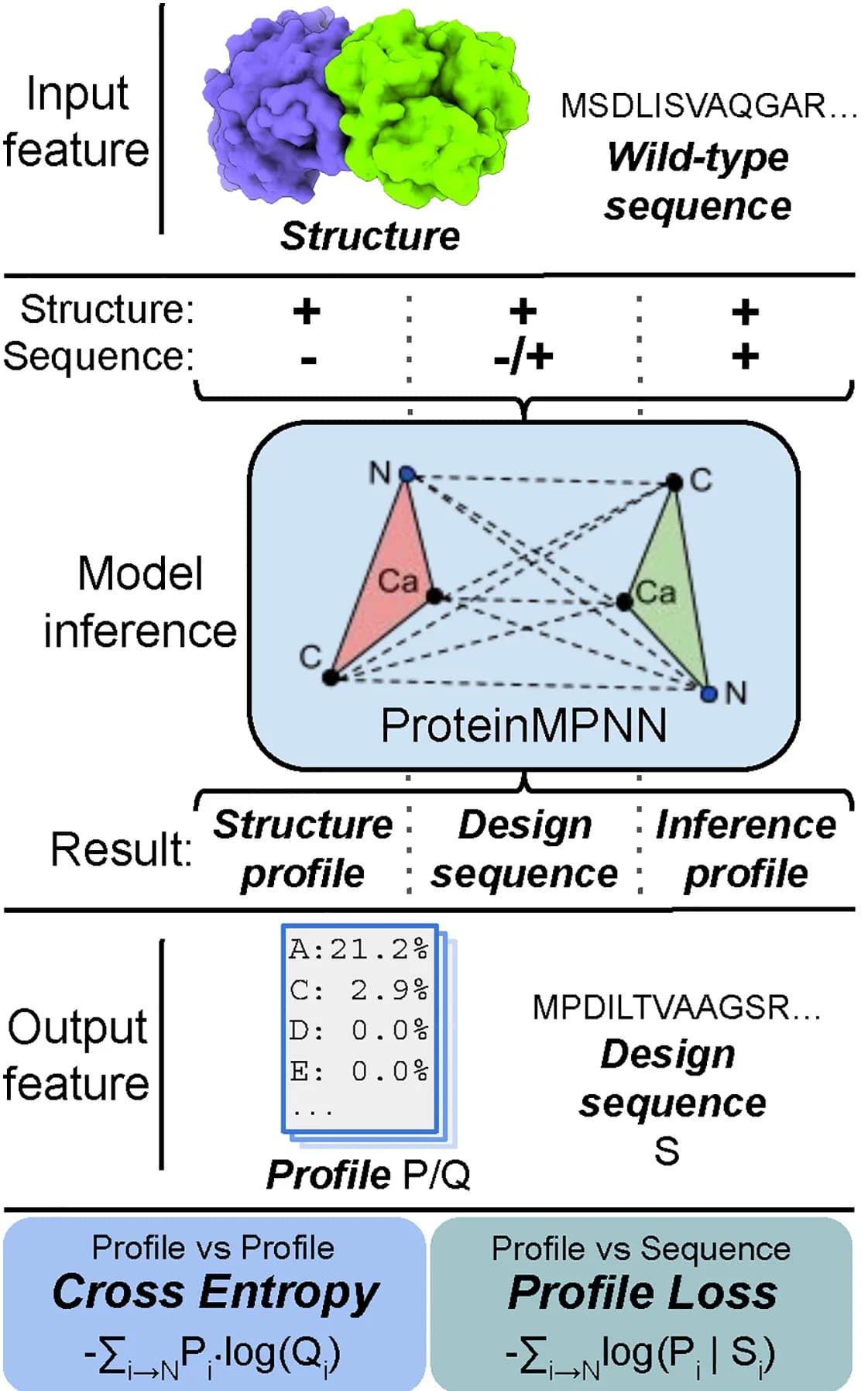Open access visualization of Workflow, Illustration, ProteinMPNN, Sequence-structure relationship, Cross entropy