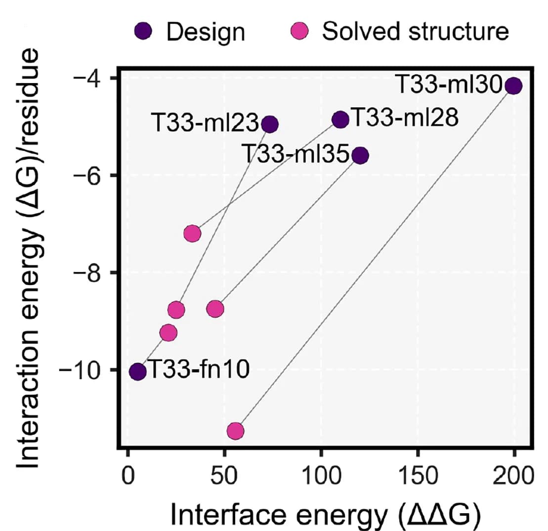 Open access visualization of Scatter Plot, Rosetta Interaction Energy, Interface Energy, Structures, Design Models