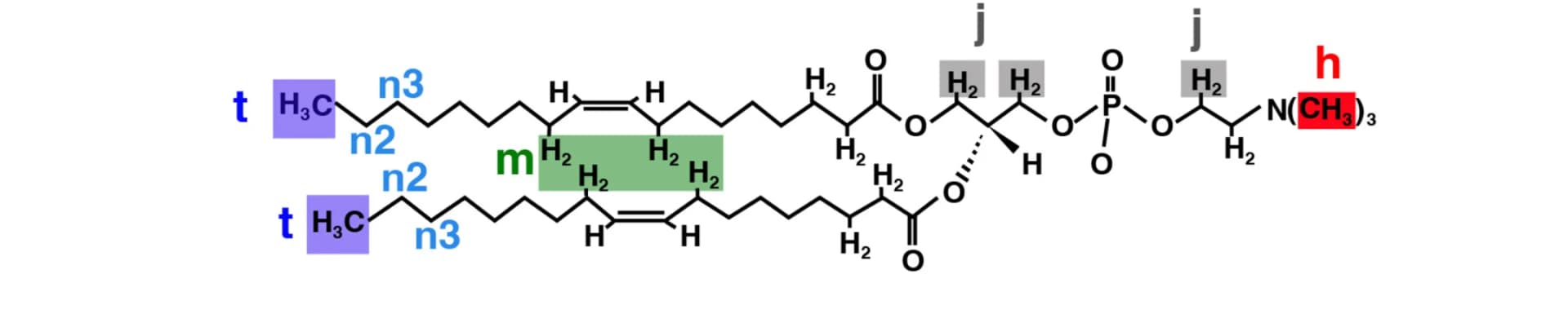 Open access visualization of Chemical Structure, DOPC Lipid, Resonances, Schematic