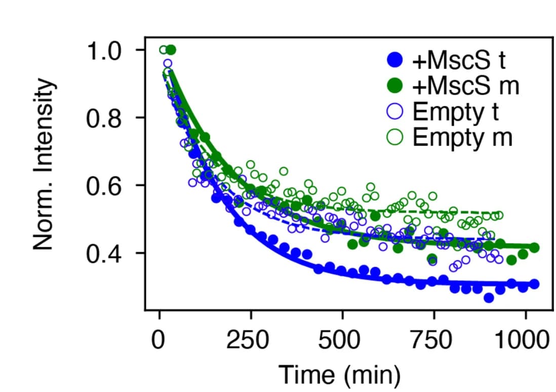 Open access visualization of Line Plot, Scatter Plot, Peak Intensity, Time, DOPC Resonances